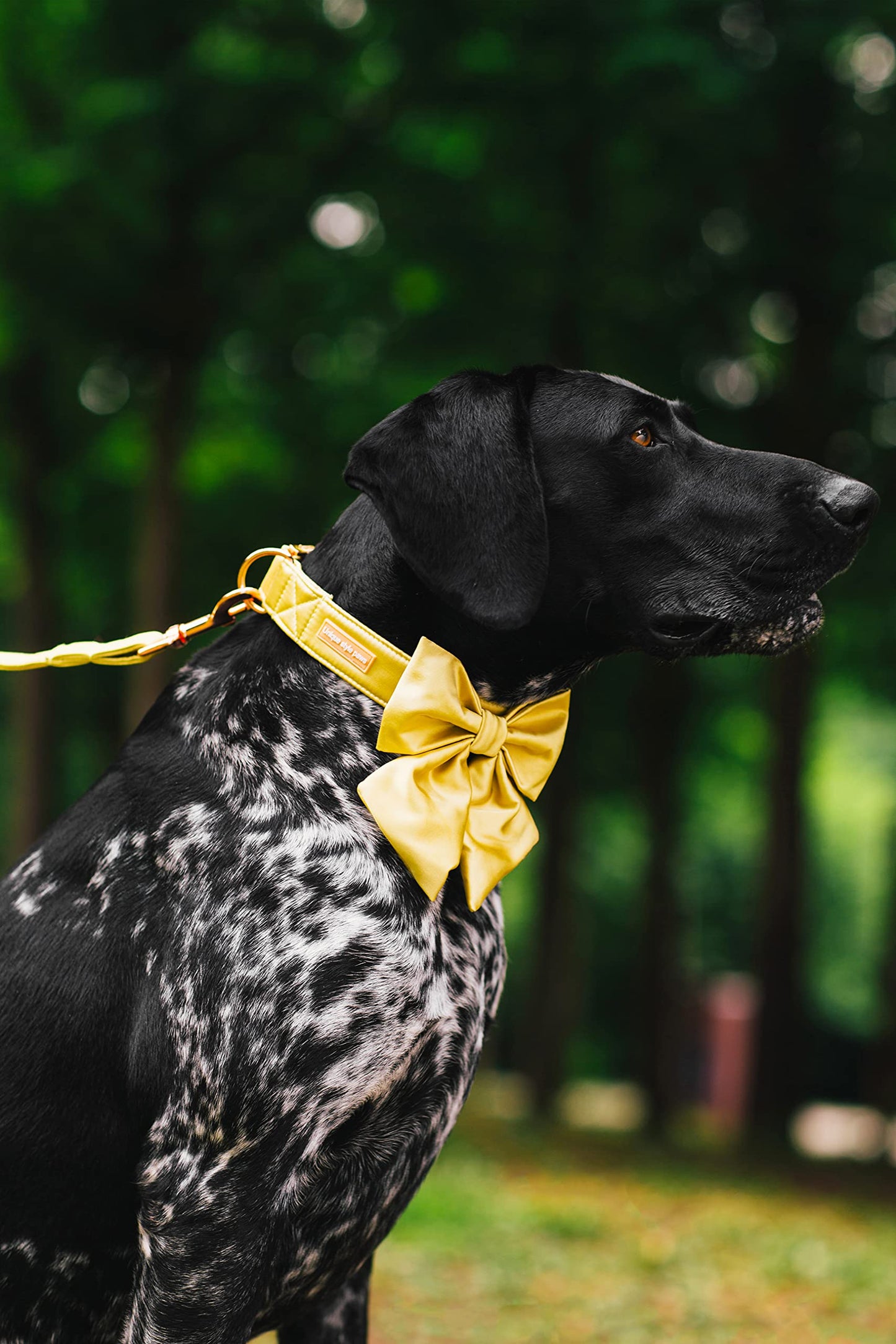 Unique style paws Silk Pink Color Dog Collar Adjustable Durable Dog Collar with Bow Wedding Bowtie Collar for Small Puppy and Cats