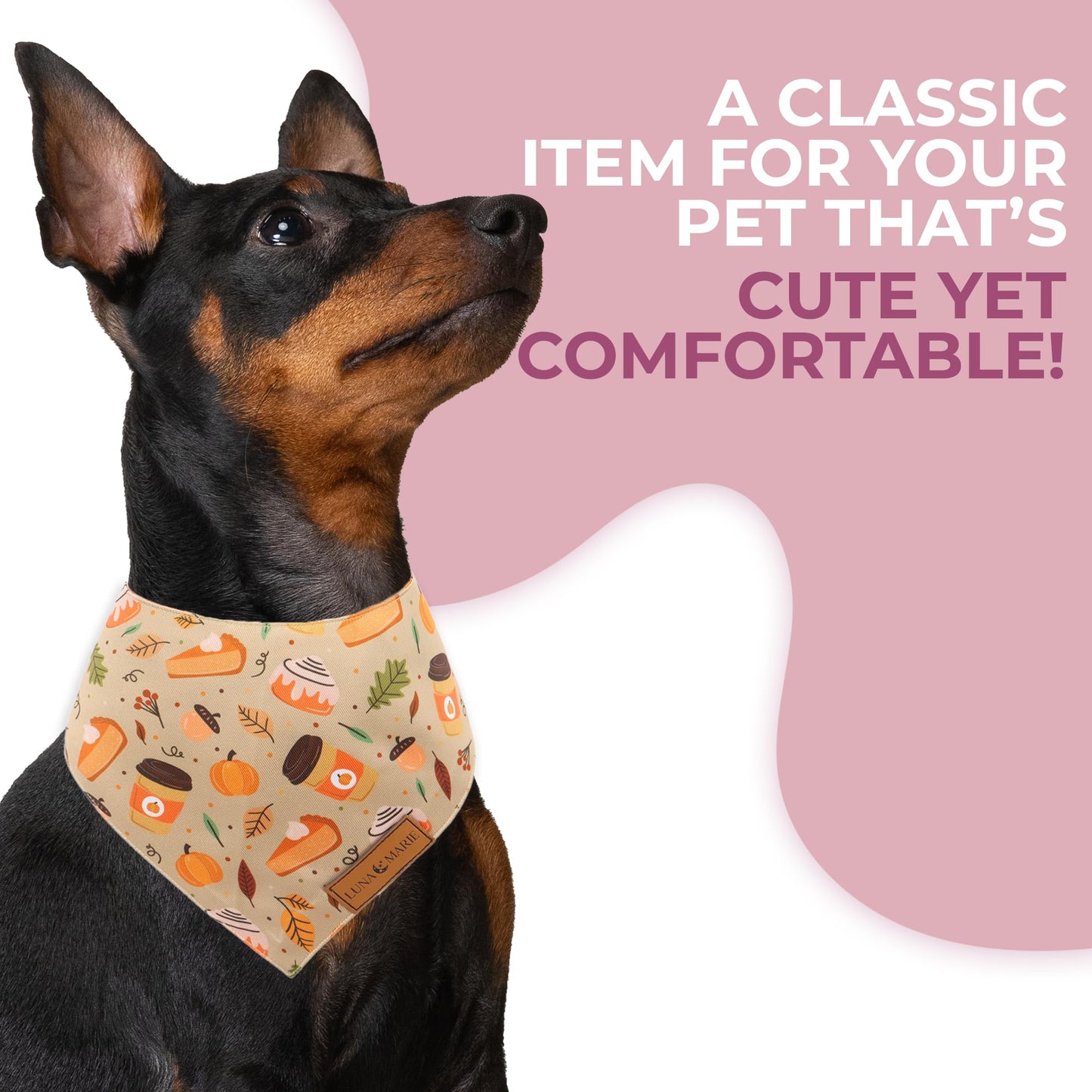 Luxury Pet Birthday Bandanas -Premium & Silky Poly Fabric | 100% Handmade | Custom Shape Dual Layered (Birthday Girl, Medium)