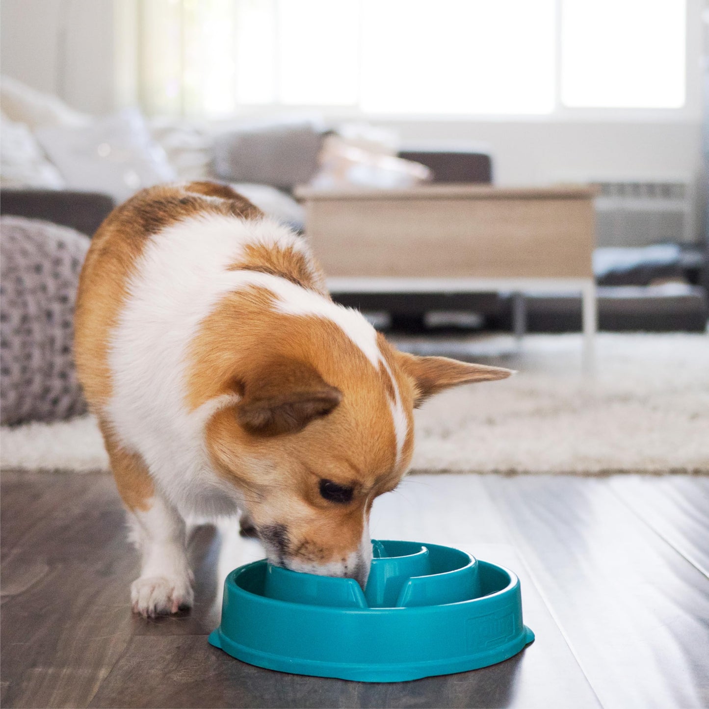 Outward Hound Fun Feeder Slo Bowl, Medium Slow Feeder Dog Bowl, 2 Cups, Gray