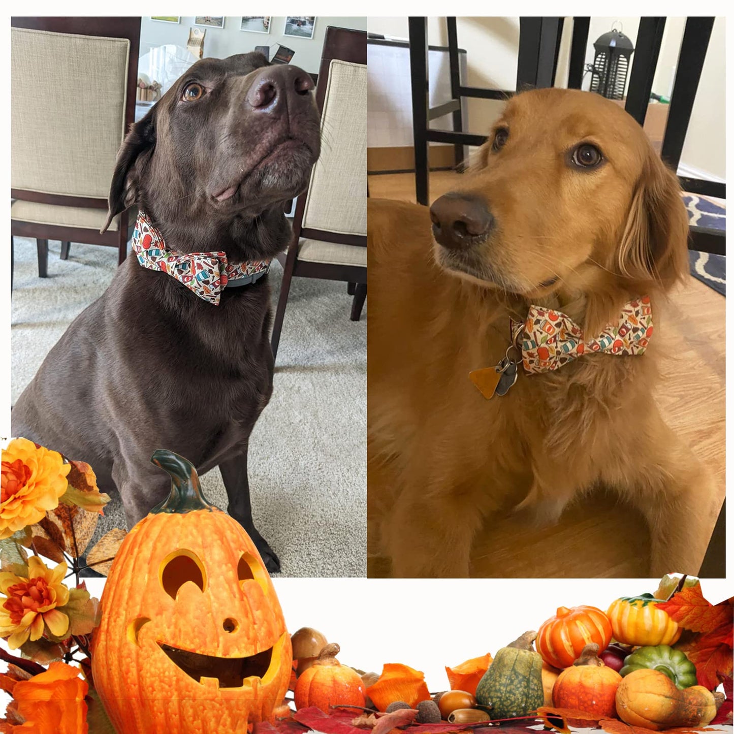 Unique Style Paws Cotton Dog Collar with Bow Halloween Pumpkin Plaid Dog Collar with Bow Tie for Small Medium Large Dogs Pets Gifts