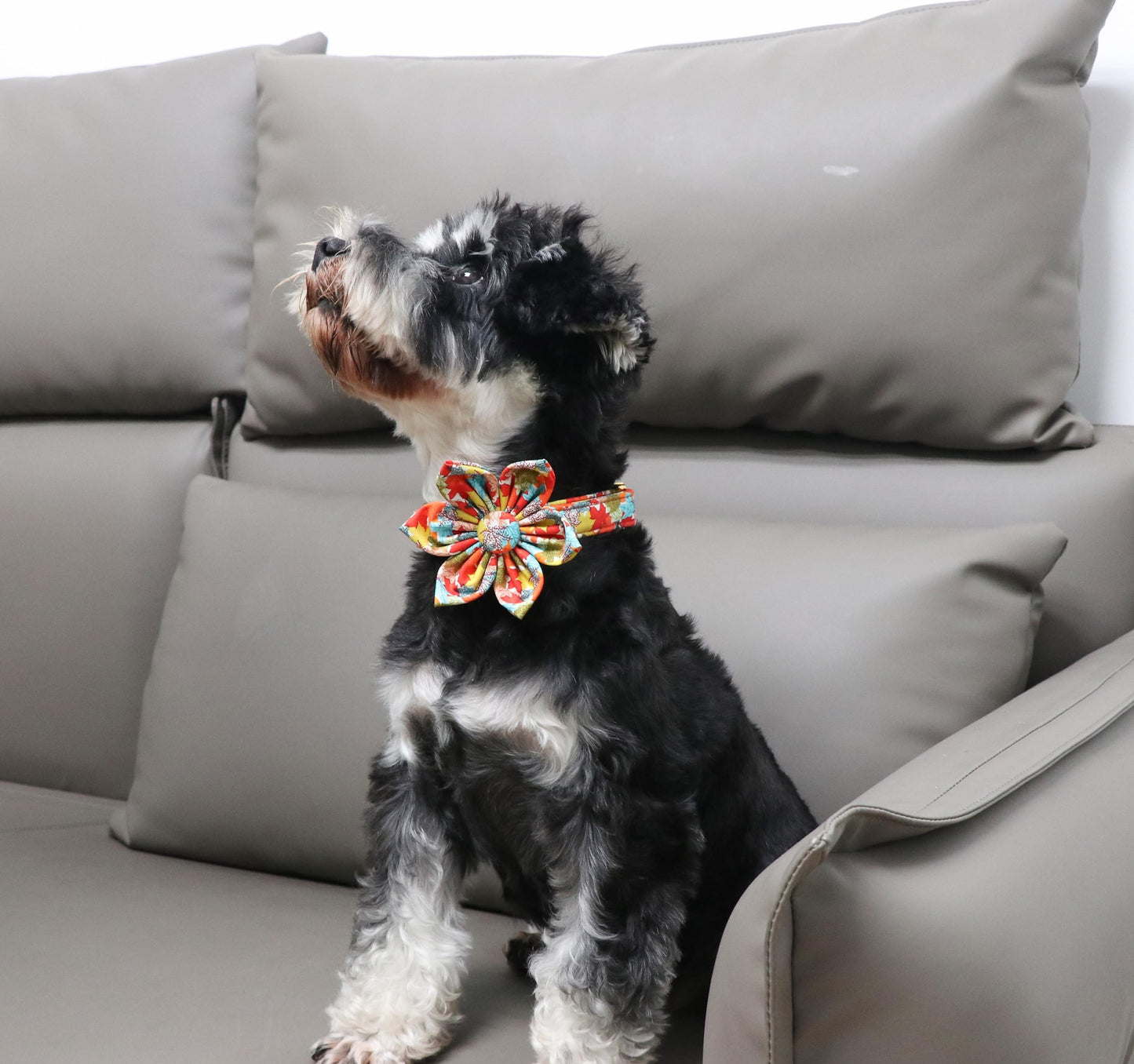 Unique Style Paws Halloween Dog Collar with Bow Cotton Cute Bowtie Dog Collar for Small Medium Large Dogs Holiday Dog Collar