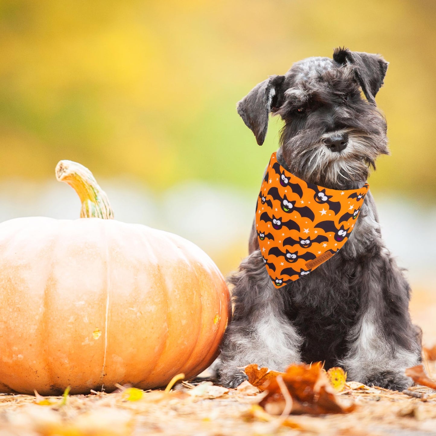 ADOGGYGO Halloween Dog Bandana, Halloween Pumpkin Ghost Dog Scarf, Premium Durable Fabric, Adjustable Fit Female Dog Halloween Bandanas for Medium Large Dogs Pets (Large, Halloween)