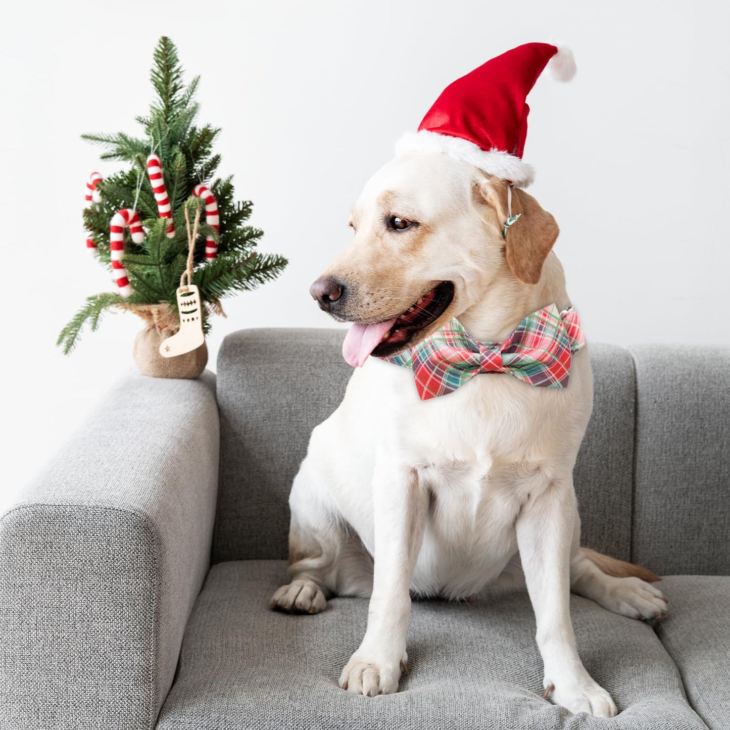 Tunkoo Christmas Dog Collar with Pretty Bow Tie - Red & Green Plaid Pet Collar, Adjustable Available in Small Medium Large, Gift for Girls Boys Dog, S