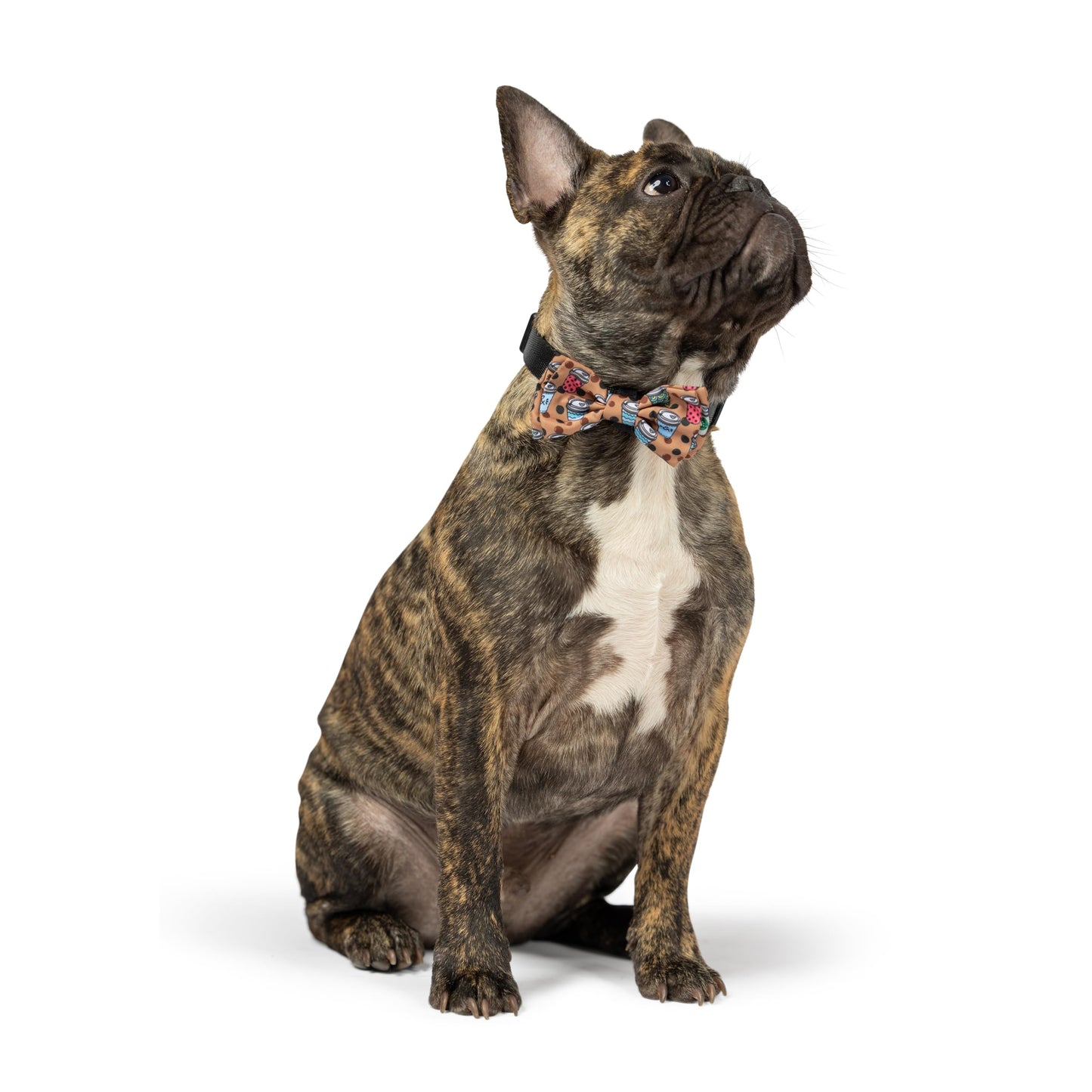 Huxley & Kent Bow Tie for Pets | Fall Check (Extra-Large) | Bow Tie Collar Attachment | Fun Bow Ties for Dogs & Cats | Cute, Comfortable, and Durable | H&K Bow Tie