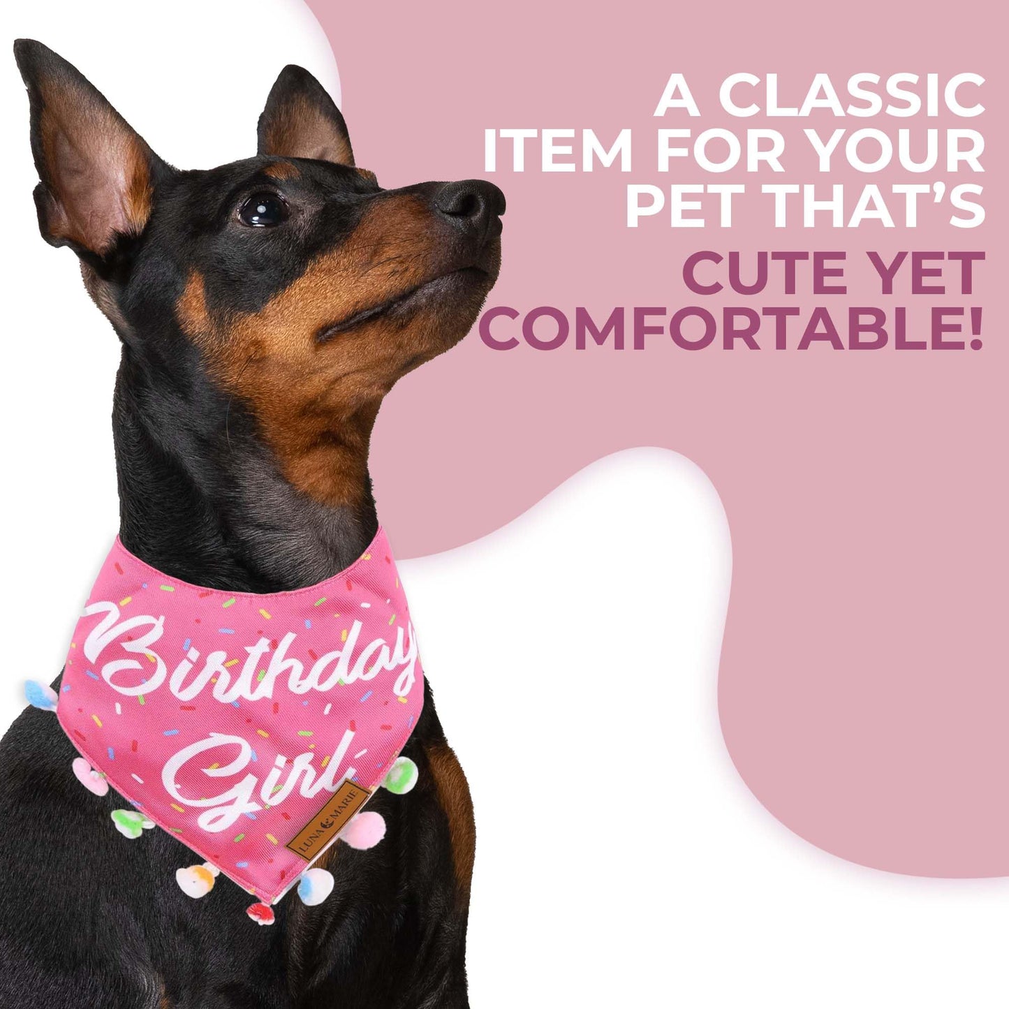 Luxury Pet Birthday Bandanas -Premium & Silky Poly Fabric | 100% Handmade | Custom Shape Dual Layered (Birthday Girl, Medium)