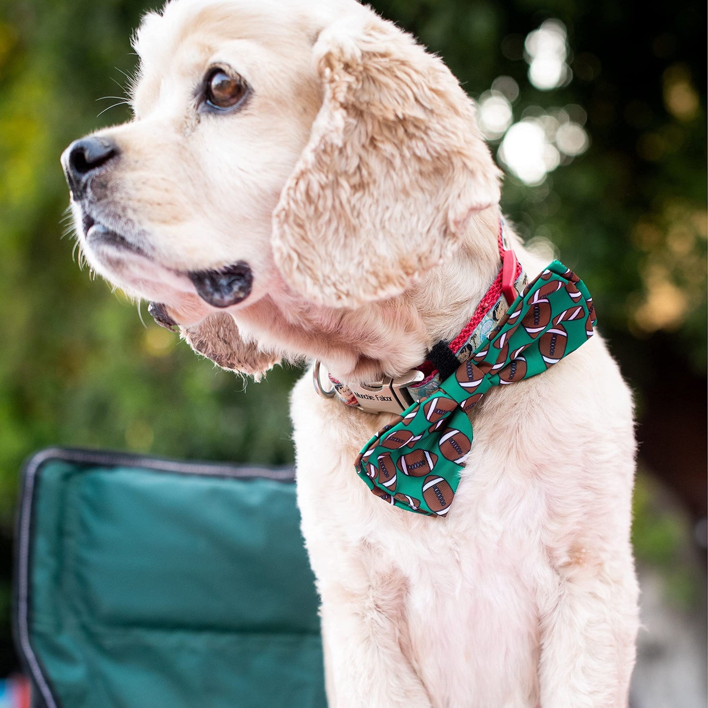 Huxley & Kent Bow Tie for Pets | Fall Check (Extra-Large) | Bow Tie Collar Attachment | Fun Bow Ties for Dogs & Cats | Cute, Comfortable, and Durable | H&K Bow Tie