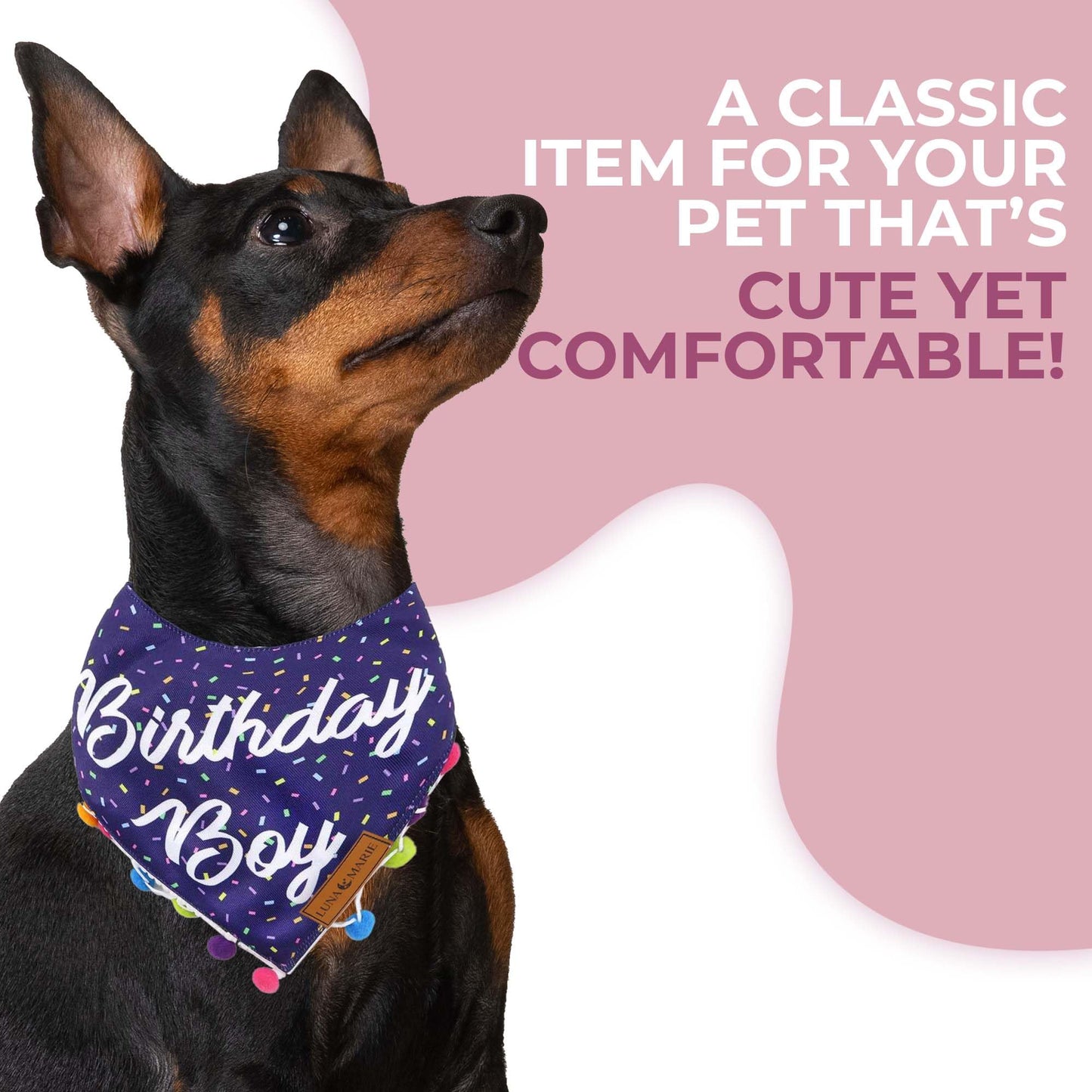 Luxury Pet Birthday Bandanas -Premium & Silky Poly Fabric | 100% Handmade | Custom Shape Dual Layered (Birthday Girl, Medium)