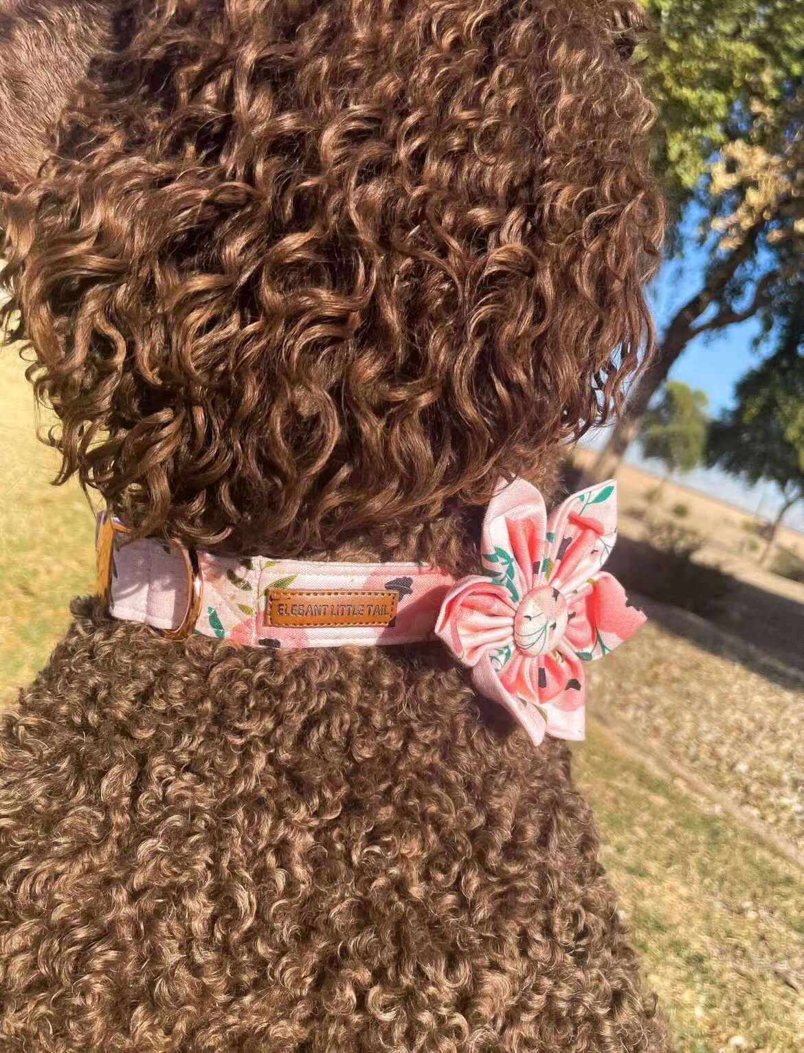 Elegant little tail Sunflower Girl Dog Collar for Female Dogs, Pet Collar Adjustable Dog Collars with Flower Gift for Medium Dogs