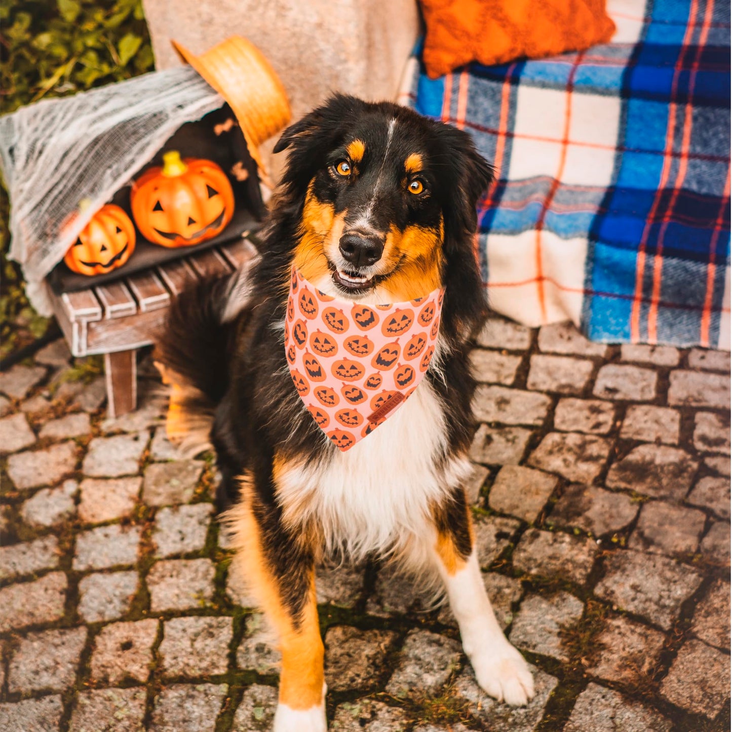 ADOGGYGO Halloween Dog Bandana, Halloween Pumpkin Ghost Dog Scarf, Premium Durable Fabric, Adjustable Fit Female Dog Halloween Bandanas for Medium Large Dogs Pets (Large, Halloween)