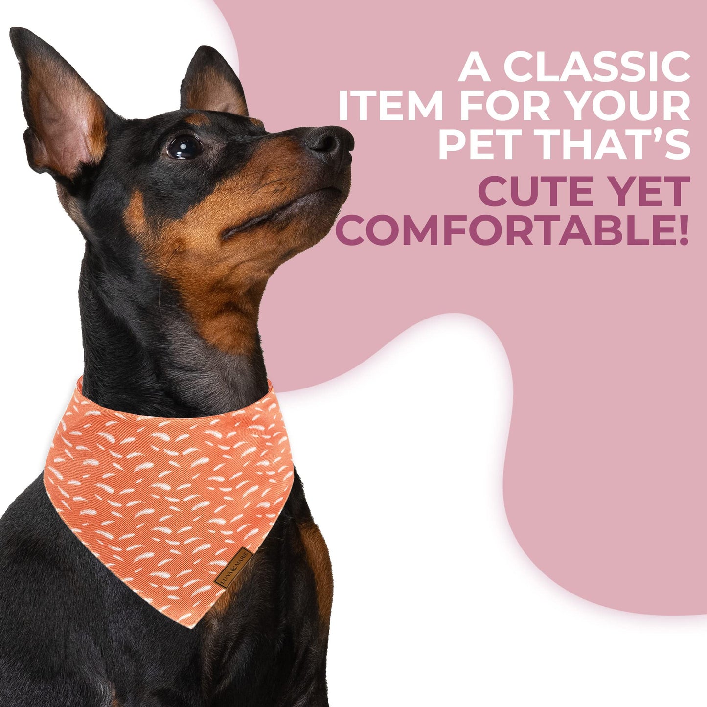 Luxury Pet Birthday Bandanas -Premium & Silky Poly Fabric | 100% Handmade | Custom Shape Dual Layered (Birthday Girl, Medium)