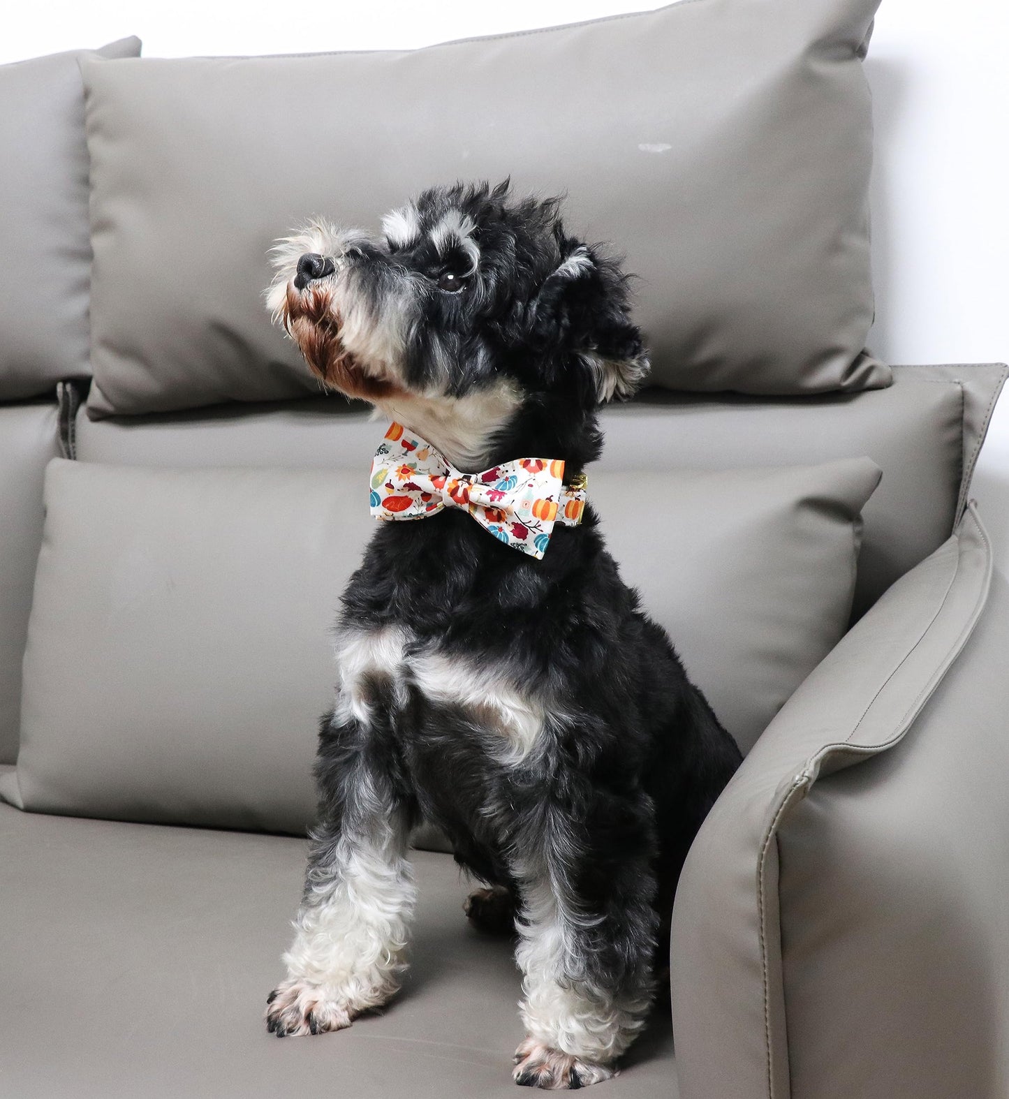 Unique Style Paws Cotton Dog Collar with Bow Halloween Pumpkin Plaid Dog Collar with Bow Tie for Small Medium Large Dogs Pets Gifts