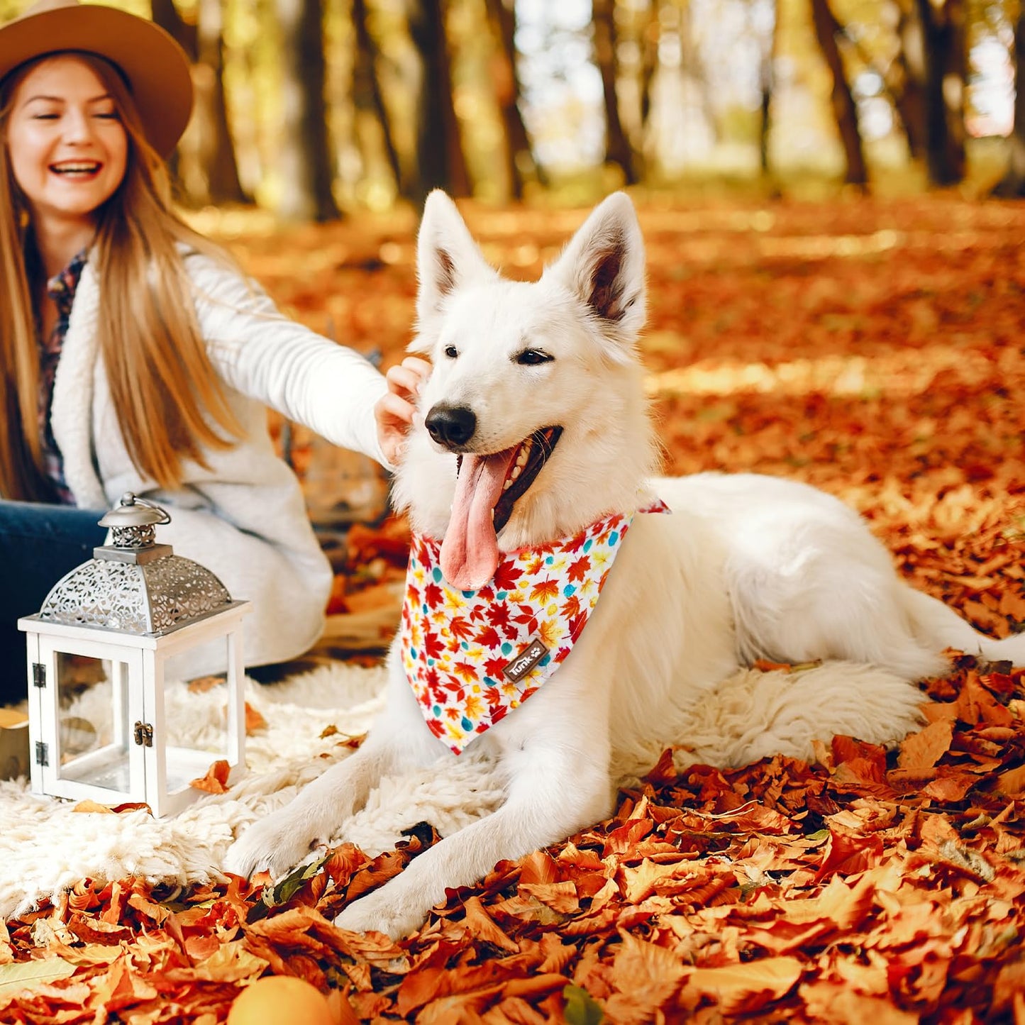 Tunkoo Happy Halloween Dog Collar with Pumpkin - Durable, Adjustable, and Stylish Pet Collar Available in Small, Medium, Large S