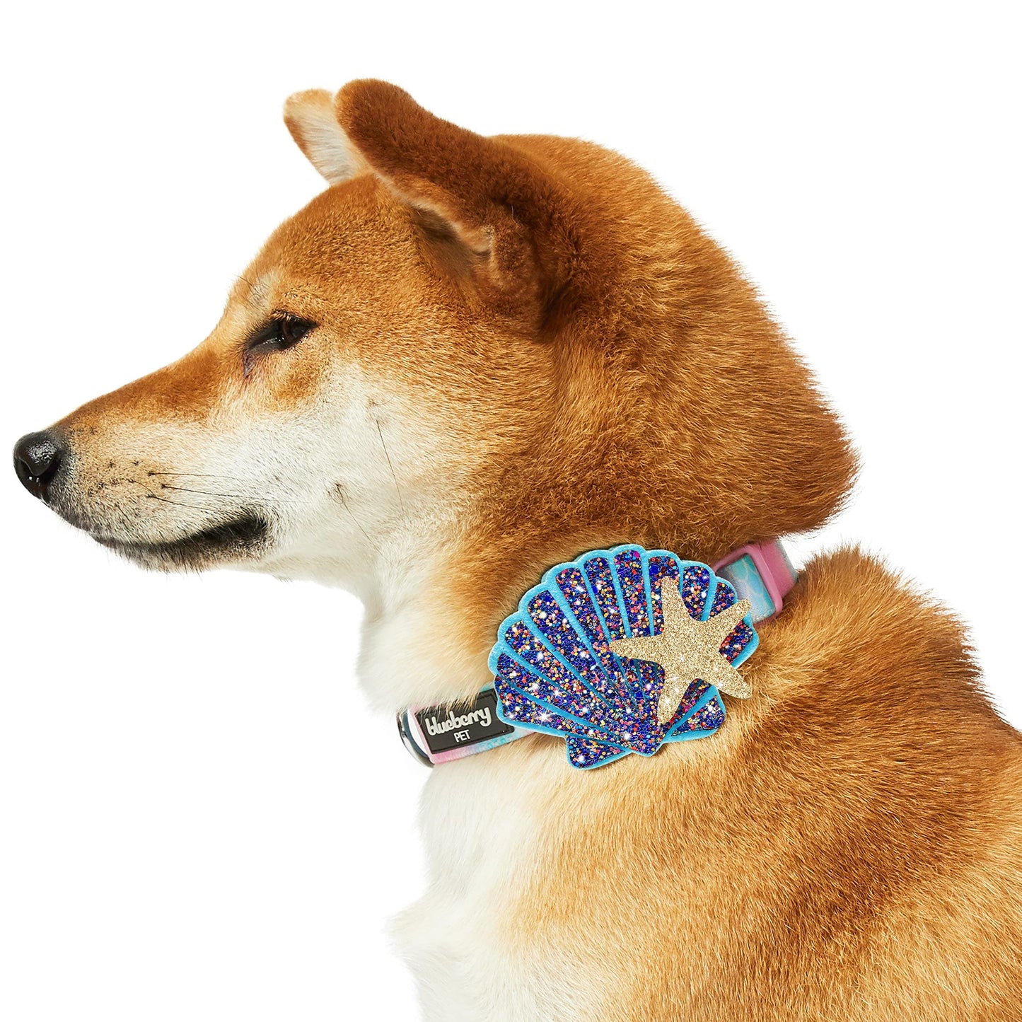 Blueberry Pet Summer Sparkle Dog Collar, Adjustable Small Size, Neck 12"-16", Zesty Fruit Watermelon Blue, Pet Collar with Detachable Accessory