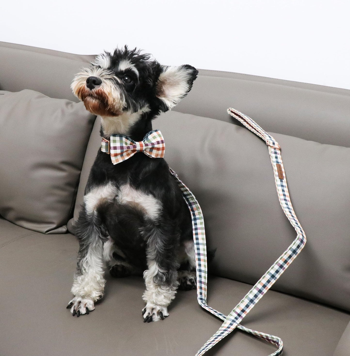 Unique Style Paws Cotton Dog Collar with Bow Halloween Pumpkin Plaid Dog Collar with Bow Tie for Small Medium Large Dogs Pets Gifts