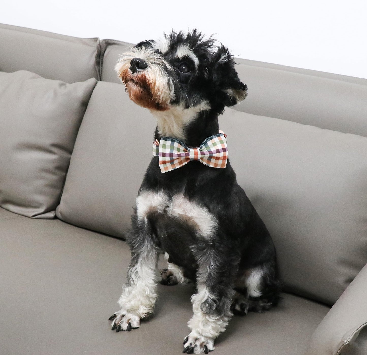 Unique Style Paws Cotton Dog Collar with Bow Halloween Pumpkin Plaid Dog Collar with Bow Tie for Small Medium Large Dogs Pets Gifts