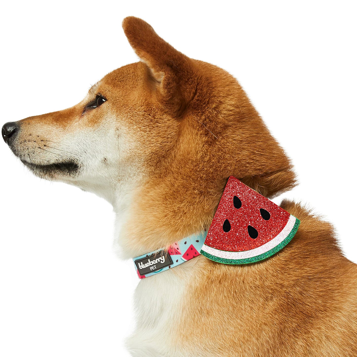 Blueberry Pet Summer Sparkle Dog Collar, Adjustable Small Size, Neck 12"-16", Zesty Fruit Watermelon Blue, Pet Collar with Detachable Accessory